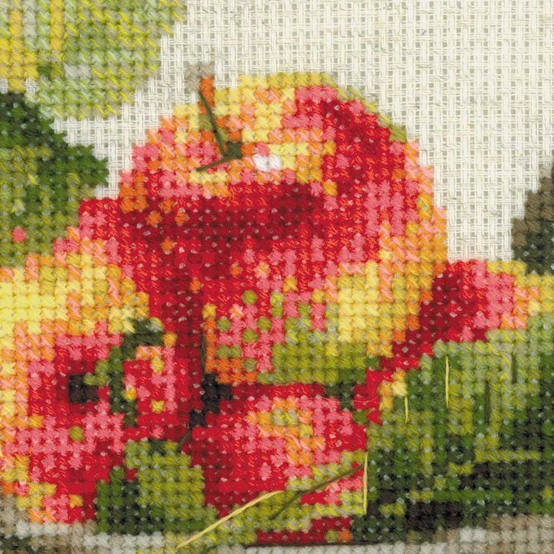 Riolis Ripe Apples Counted Cross Stitch Kit-11.75x11.75 10 Count - Image 4